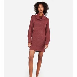 NWT Express Ribbed Cowl Neck Sweater Dress